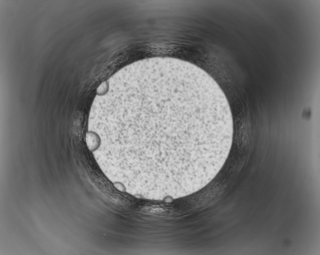 X0000114410655200911271527