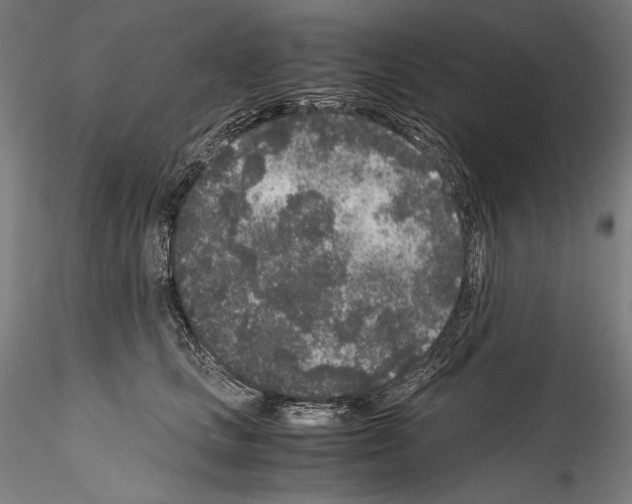 X0000114410661200911271527