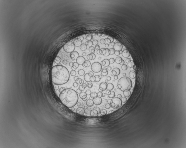 X0000114410662200911271527