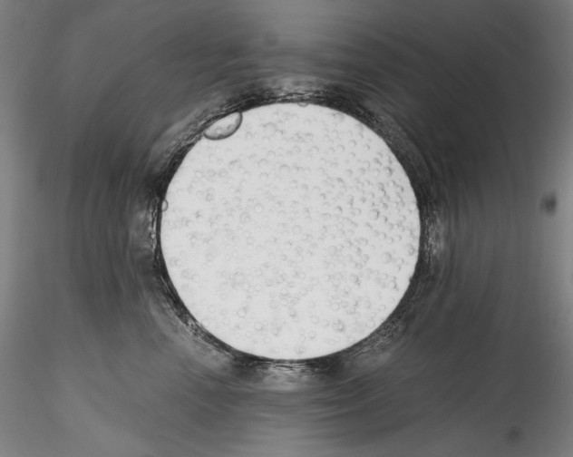 X0000114410666200911271527