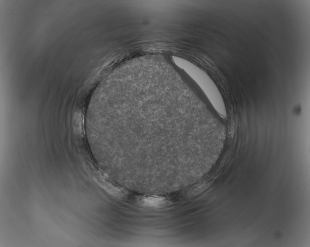 X0000114410669200911271527