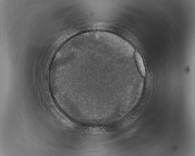 X0000114410673200911271527