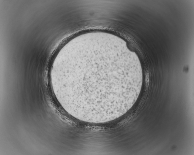 X0000114410676200911271527