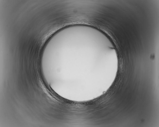 X0000114410677200911271527