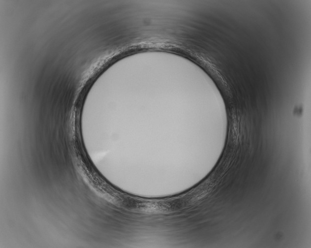 X0000114410678200911271527