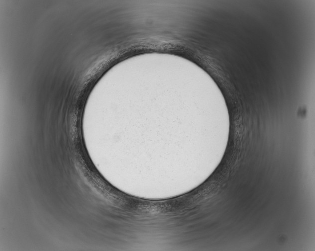 X0000114410679200911271527