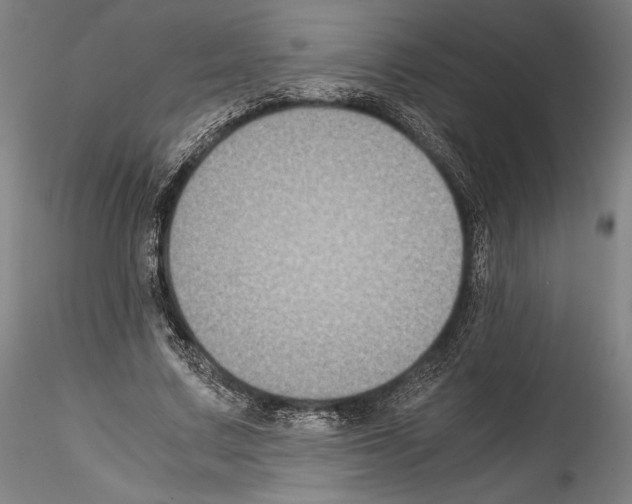 X0000114410683200911271526