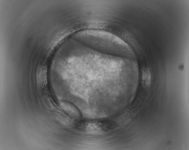 X0000114410684200911271526