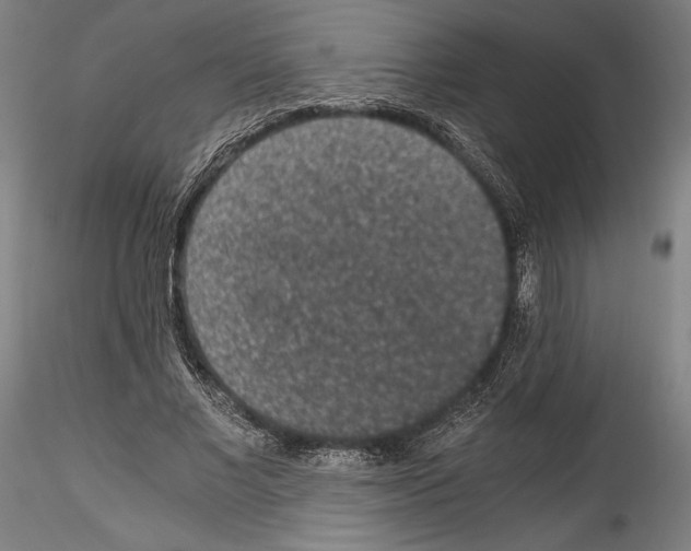 X0000114410685200911271526