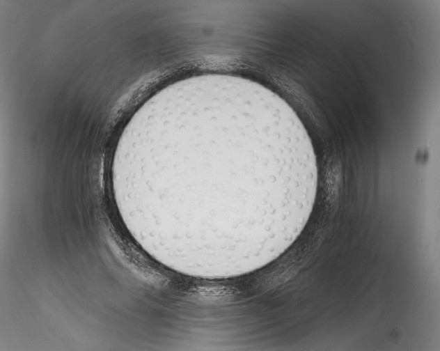 X0000114410686200911271526