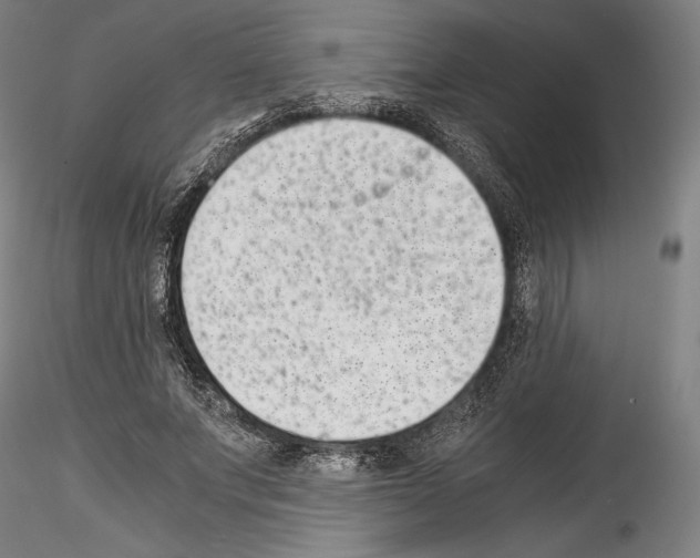 X0000114410687200911271526