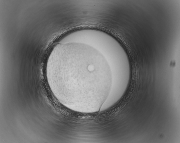 X0000114410688200911271526