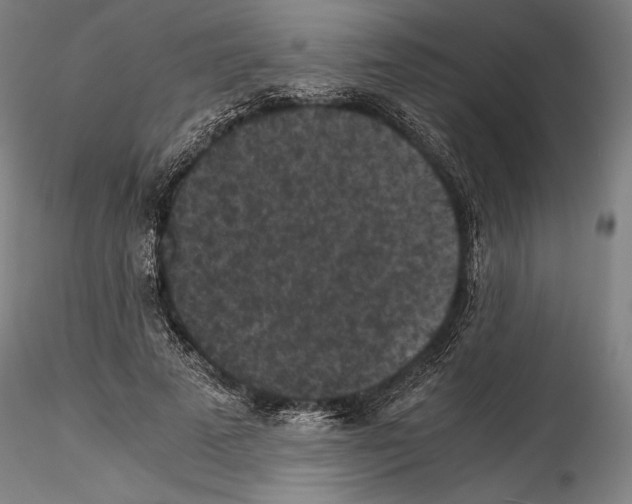 X0000114410689200911271526