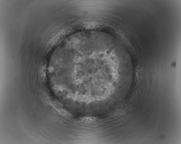 X0000114410691200911271526