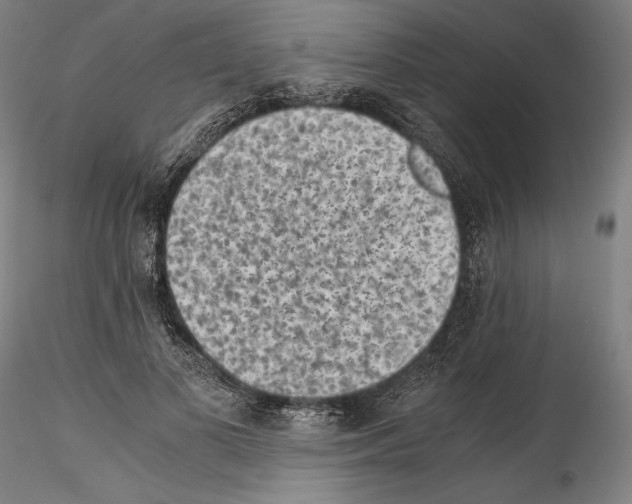 X0000114410693200911271526