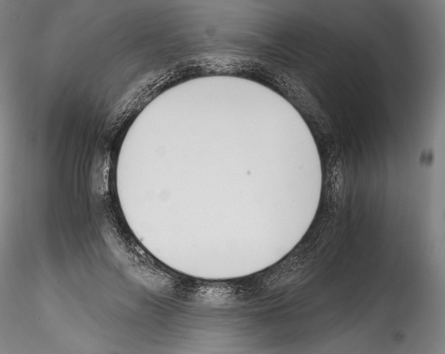 X0000114410694200911271526