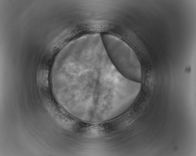 X0000114410696200911271526