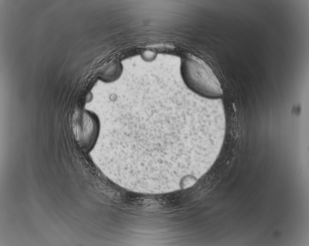 X0000114410697200911271526