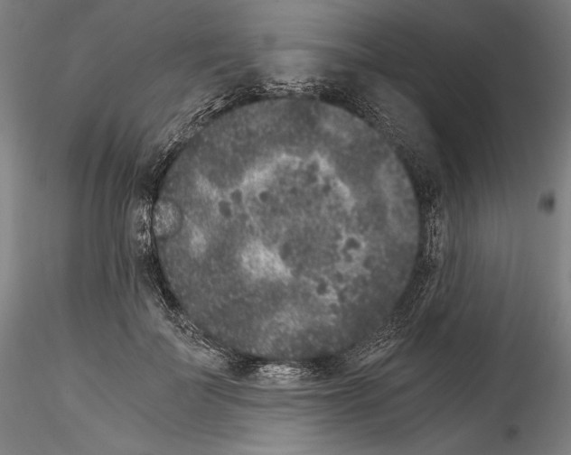 X0000114410699200911271526