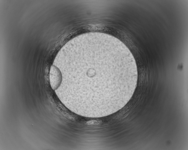 X0000114410700200911271526