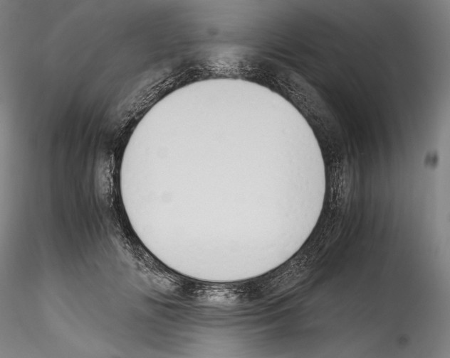 X0000114410702200911271526