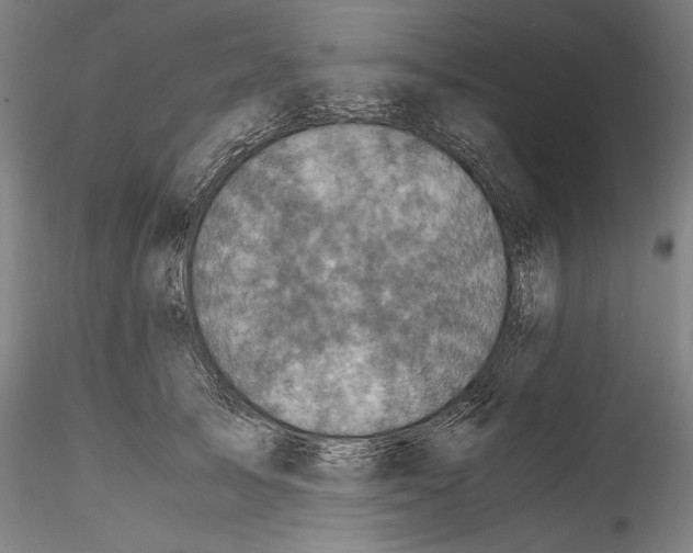 X0000114410705200911271526