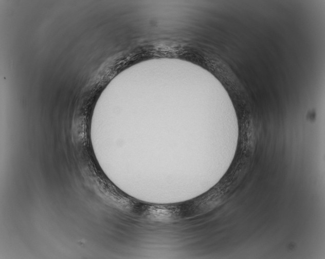 X0000114410706200911271526