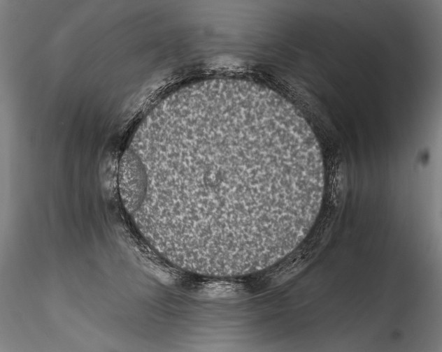 X0000114410708200911271526