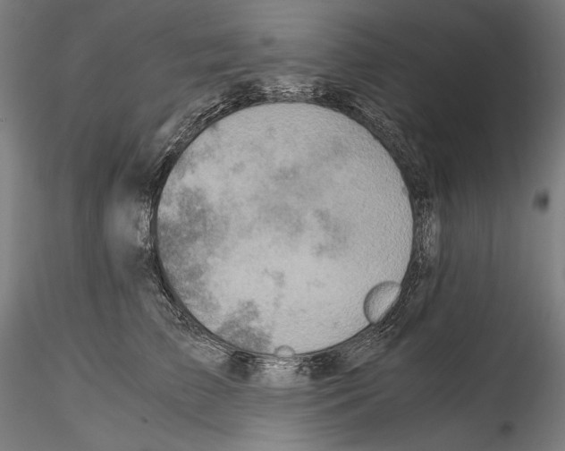 X0000114410709200911271526