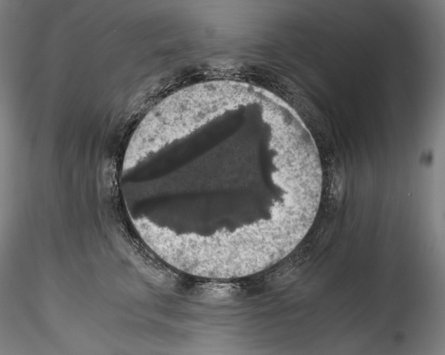 X0000114410711200911271526