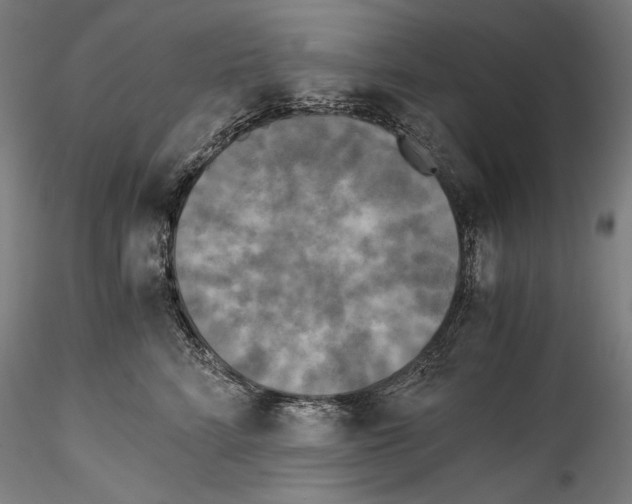 X0000114410712200911271526