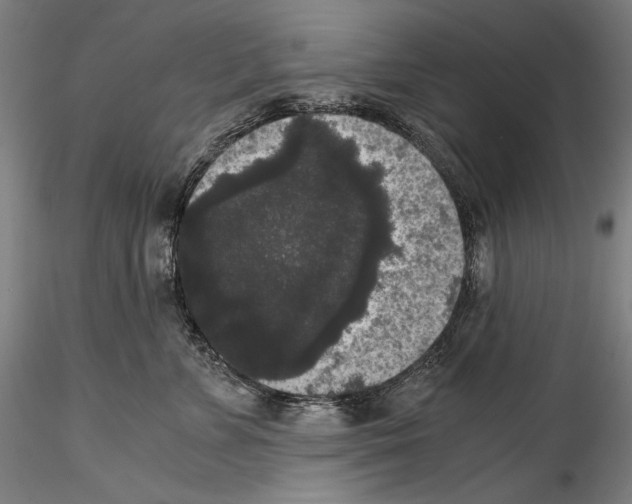 X0000114410715200911271526