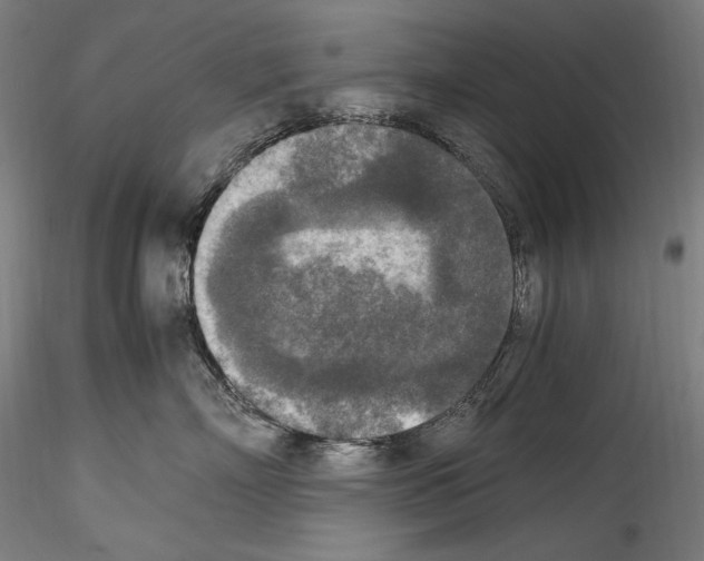 X0000114410718200911271526