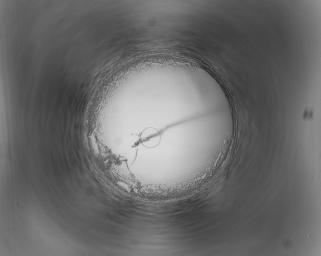 X0000114410720200911271526