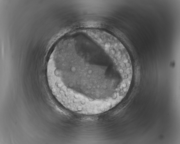 X0000114410721200911271525