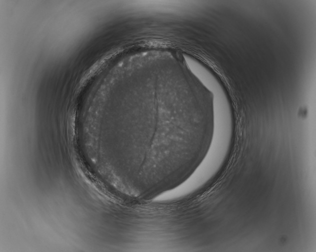 X0000114410722200911271525