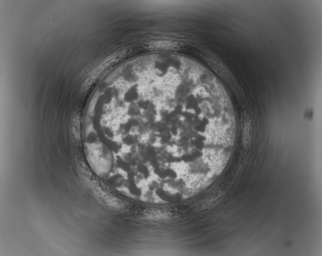 X0000114410729200911271525