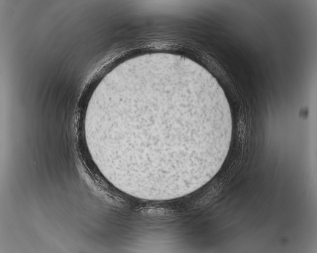 X0000114410730200911271525