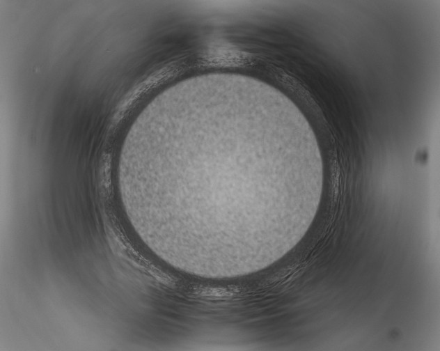 X0000114410731200911271525