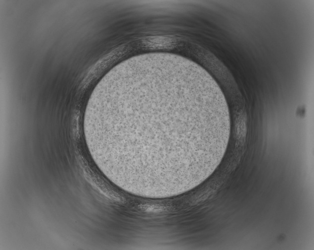 X0000114410733200911271525