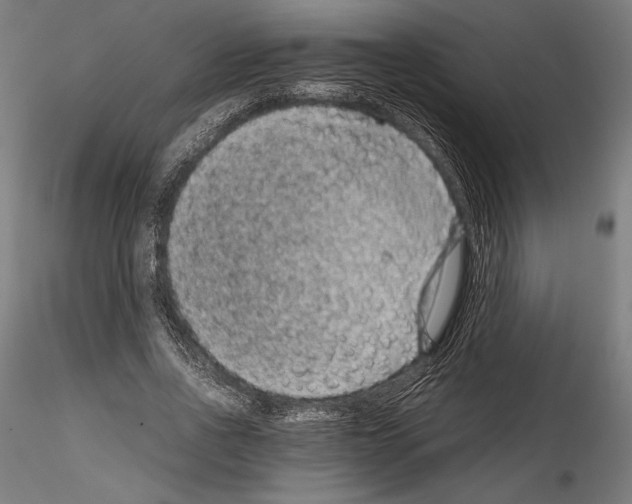 X0000114410734200911271526