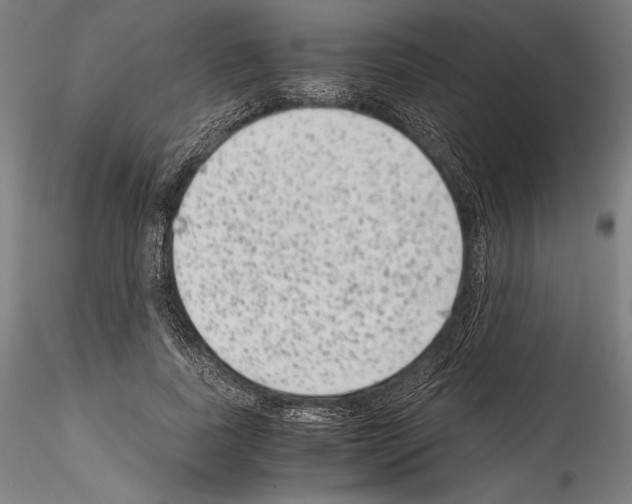 X0000114410739200911271526