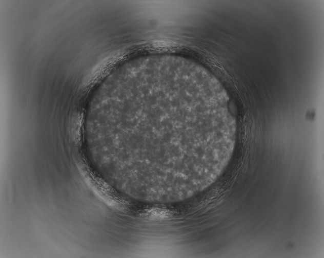 X0000114410742200911271526