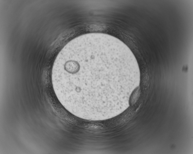 X0000114410743200911271526