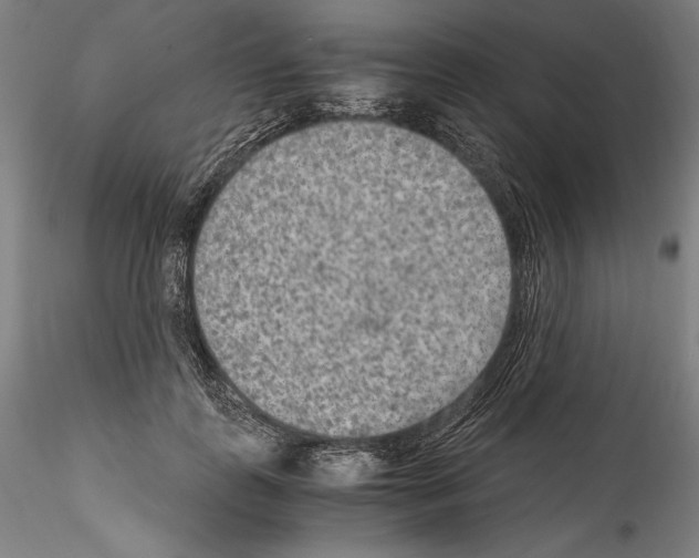 X0000114410747200911271526