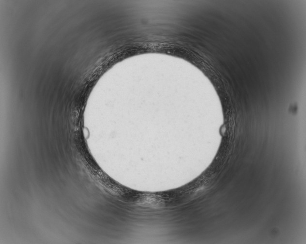 X0000114410750200911271526