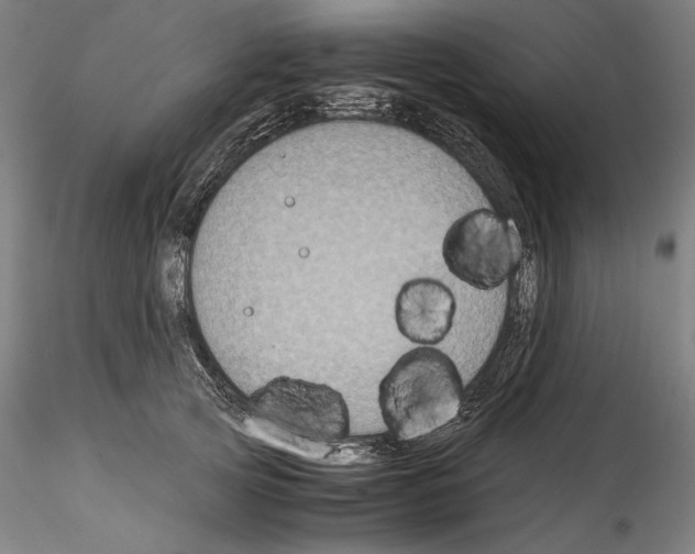 X0000114410753200911271526