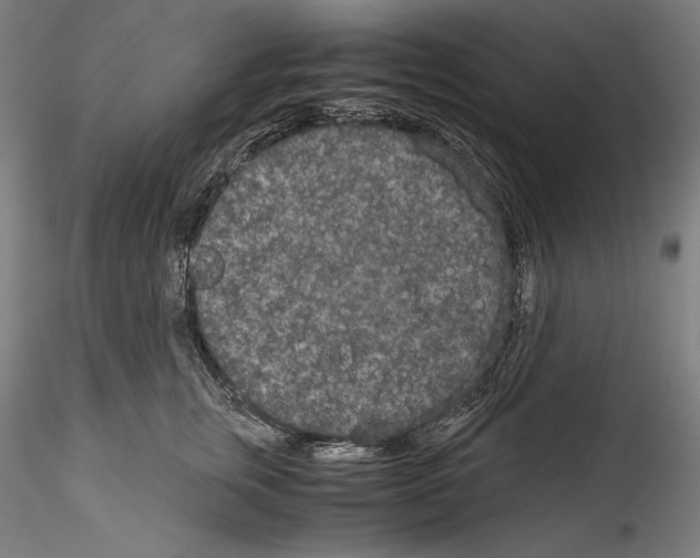 X0000114410759200911271526