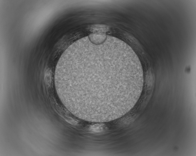 X0000114410761200911271526