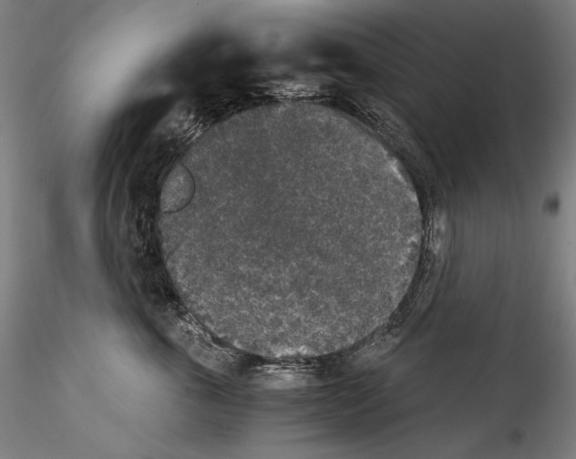 X0000114410763200911271526